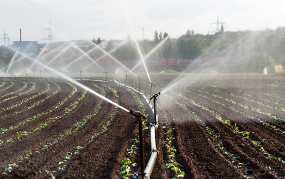 Sistema de Irrigação por Aspersão